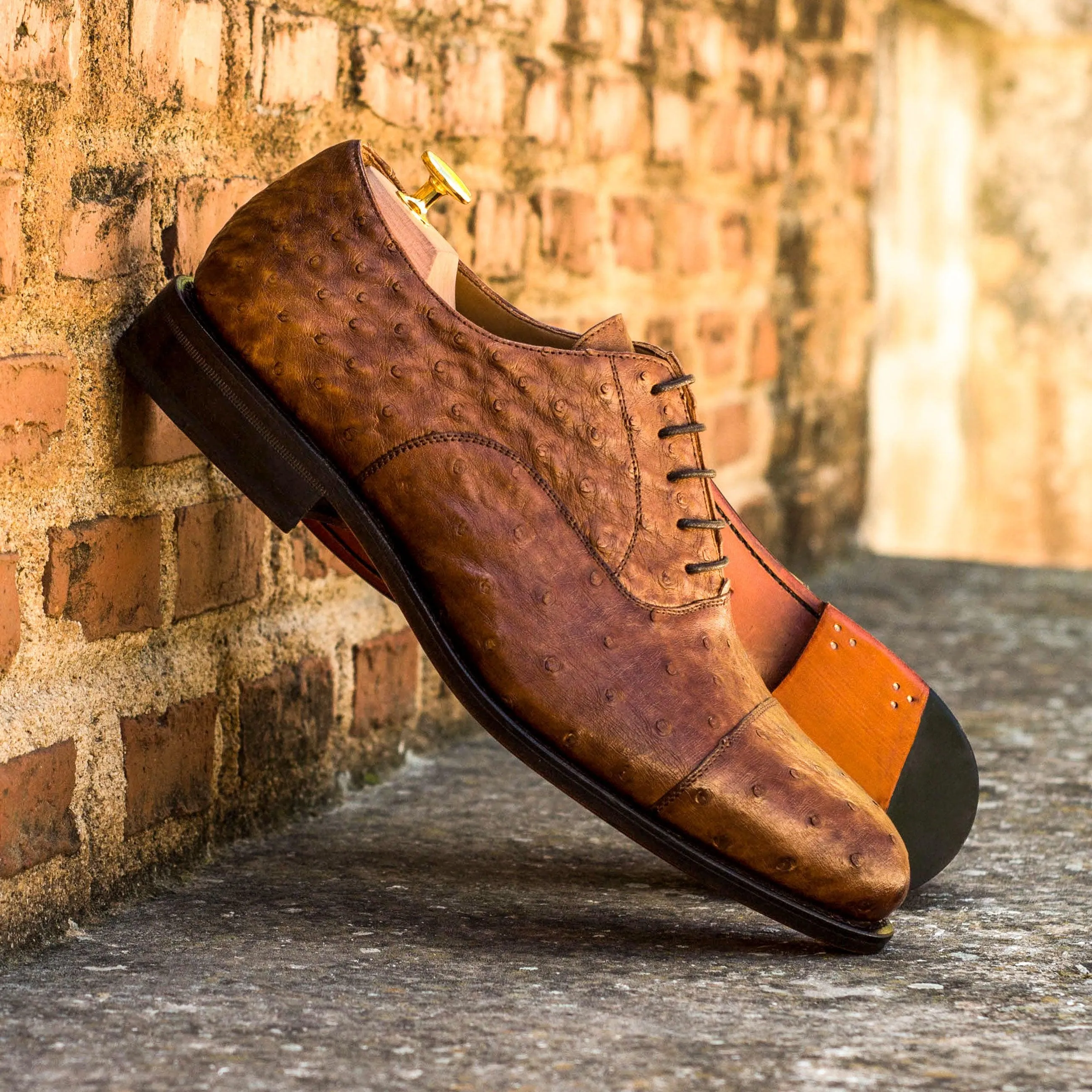 Brown Ostrich Oxford Shoes