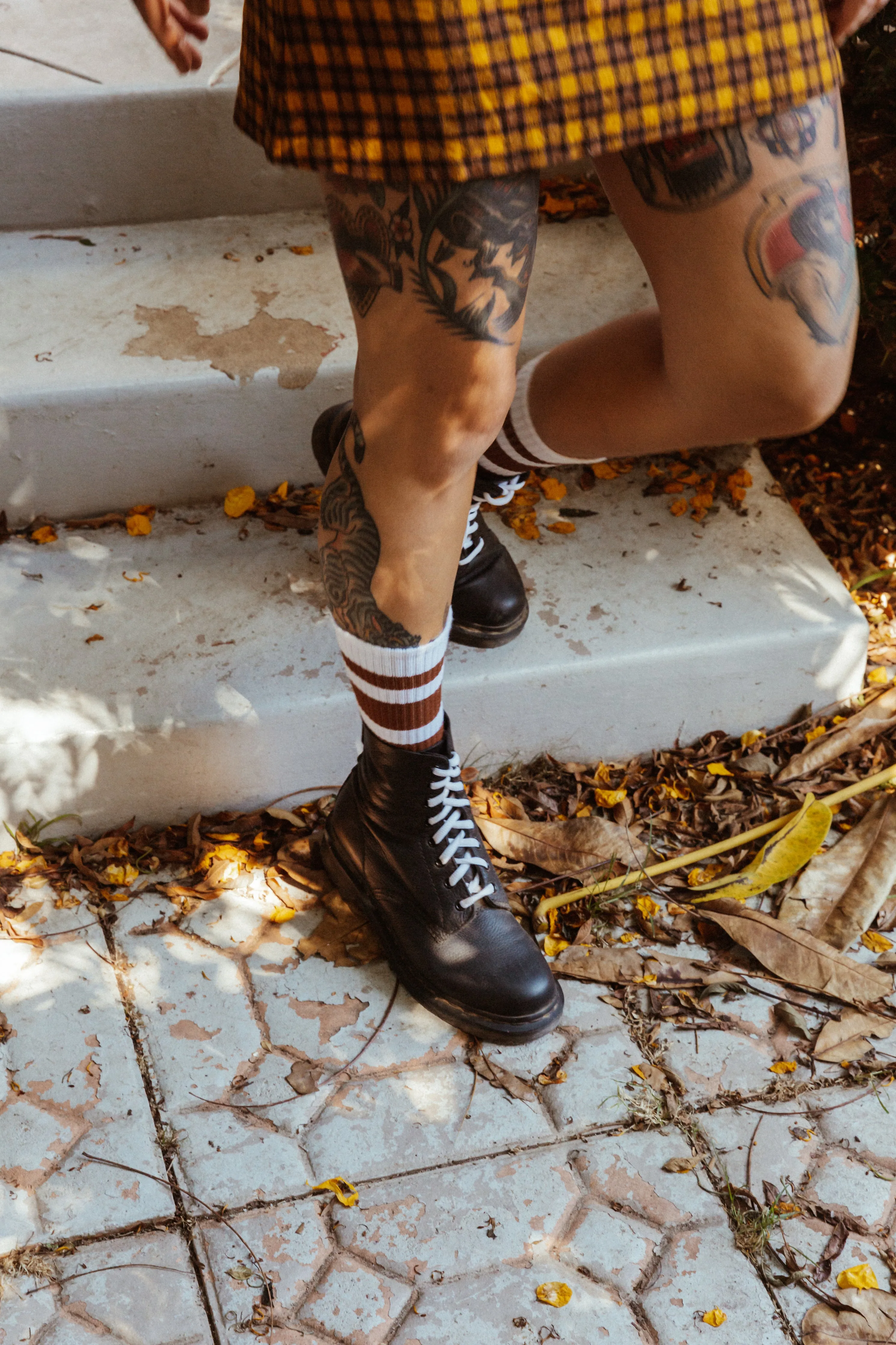 Brown Striped Socks | White